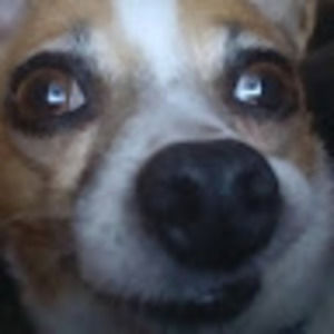 Meet your Posher, Madi